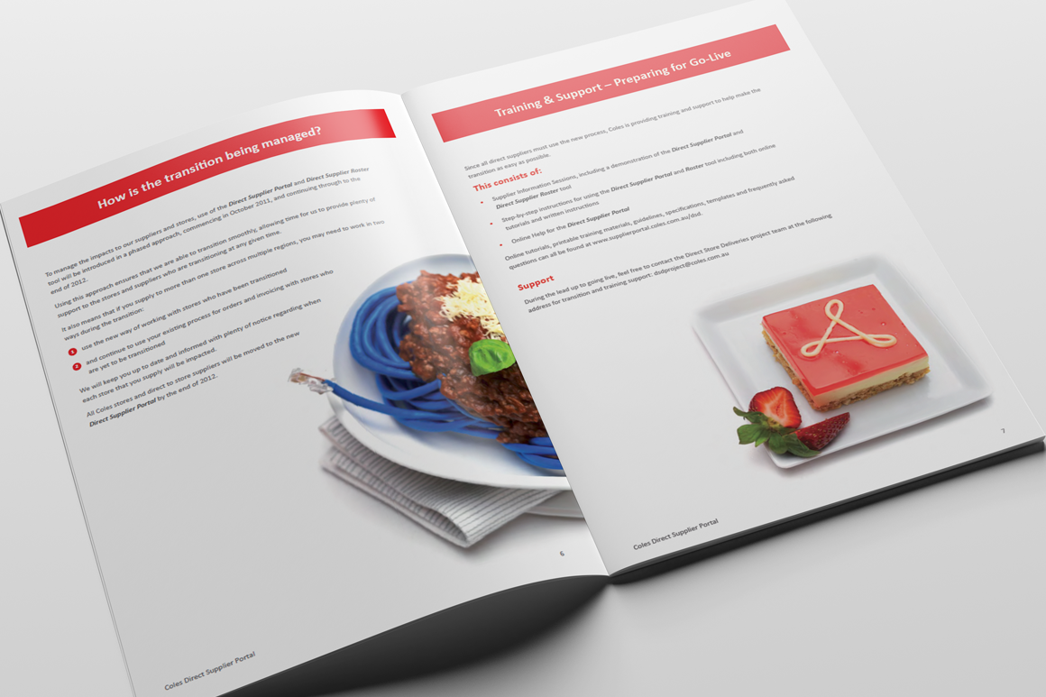 DSD-portfolio-2-pages