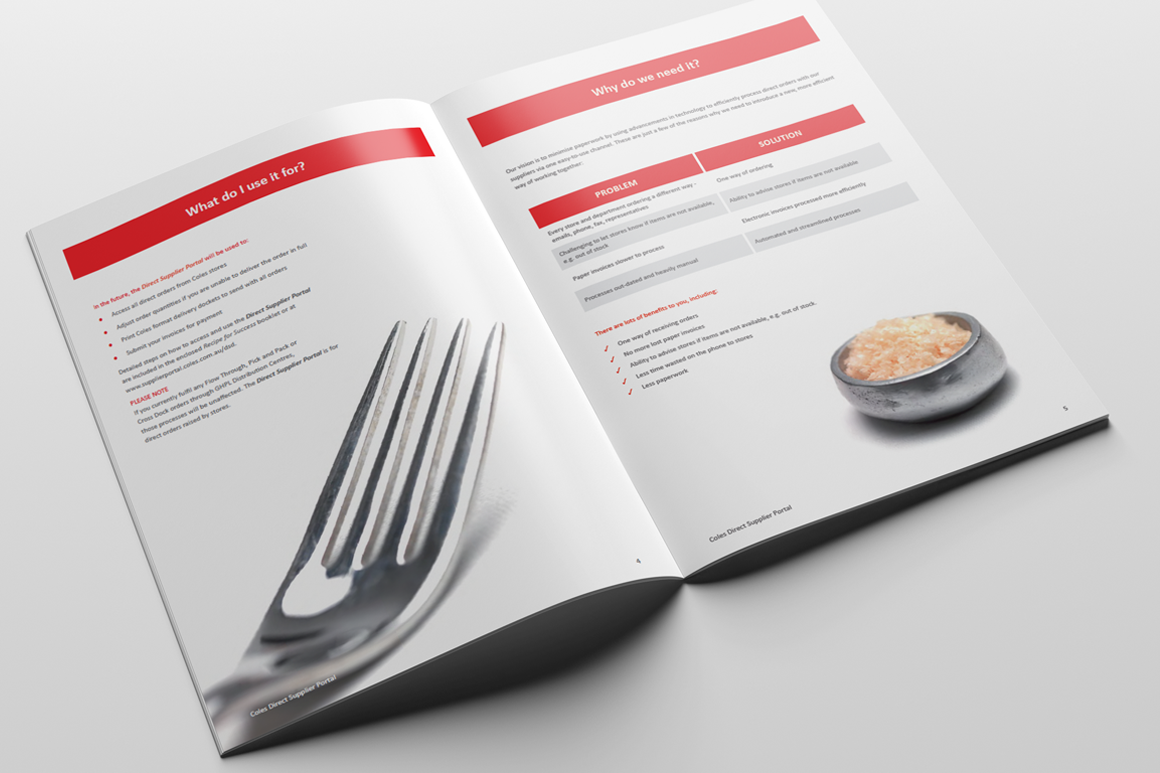 DSD-portfolio-2