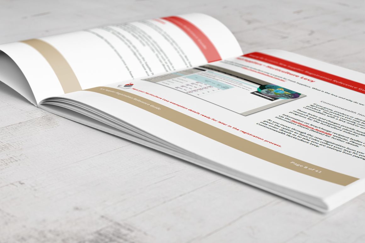 MMA-NSR-portfolio-3